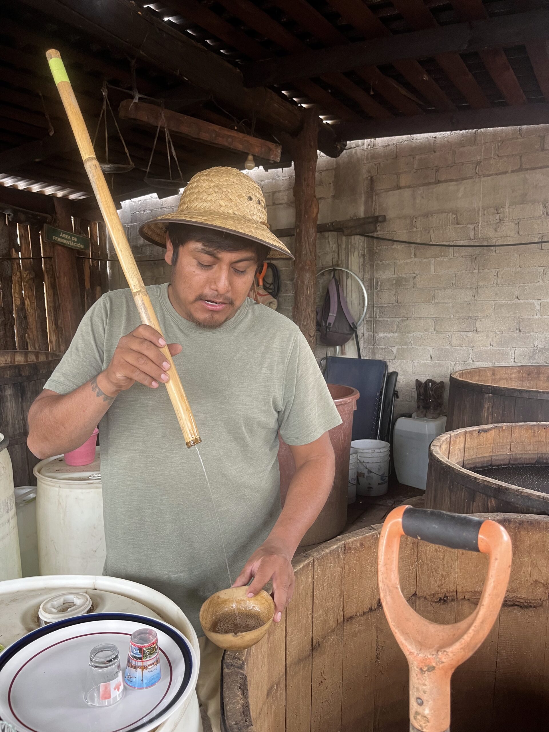Luis gauging ABV