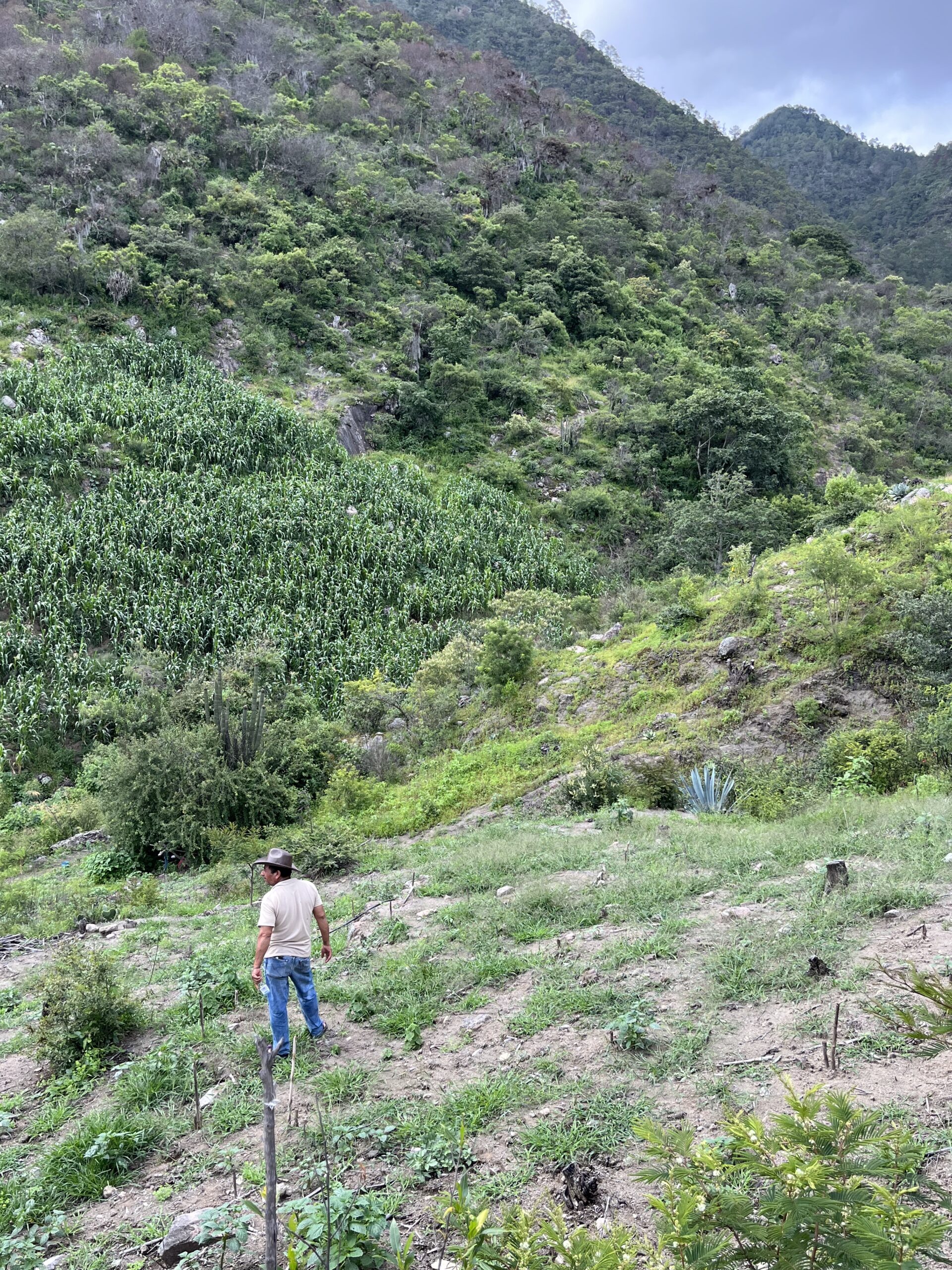 ALBARRADAS MOUNTAIN TERRAIN