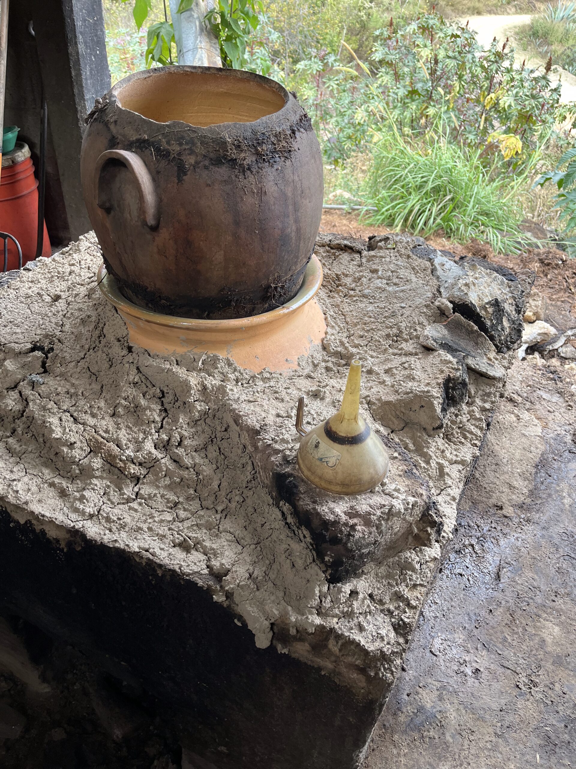 CHANGING CLAY POT