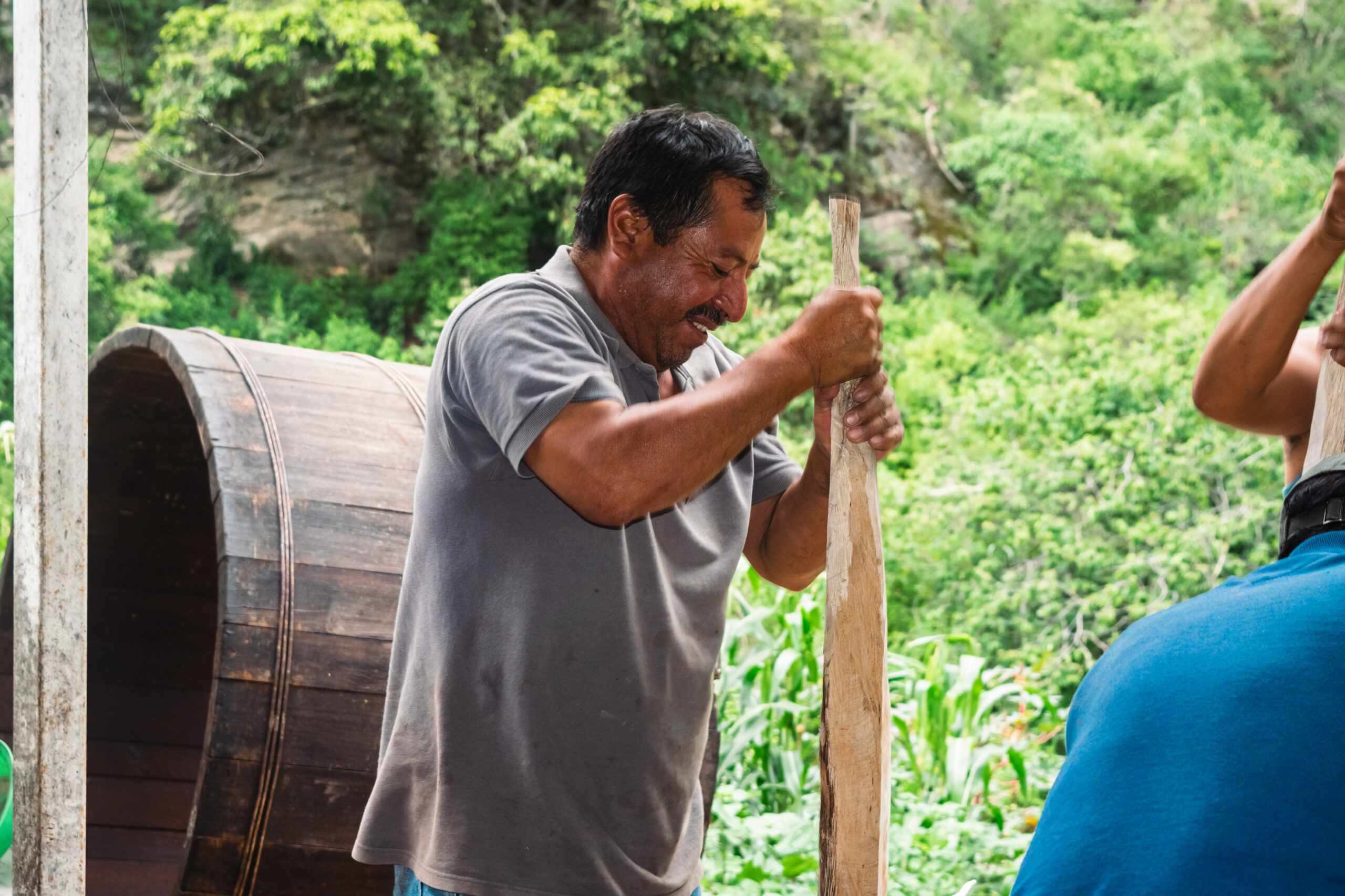 CRUSHING AGAVE
