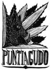 Puntiagudo Spirits