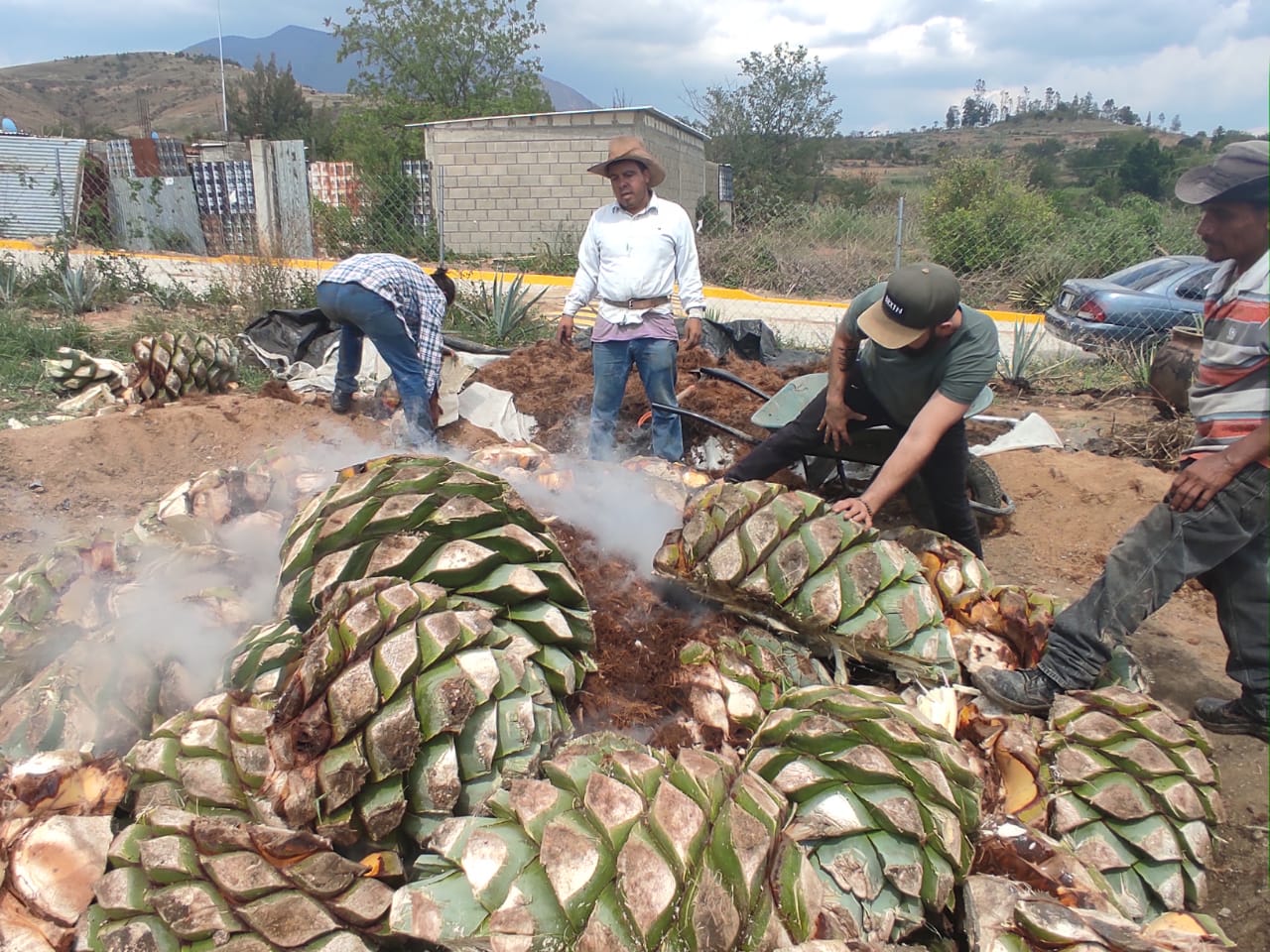 ROLANDO TAPANDO HORNO