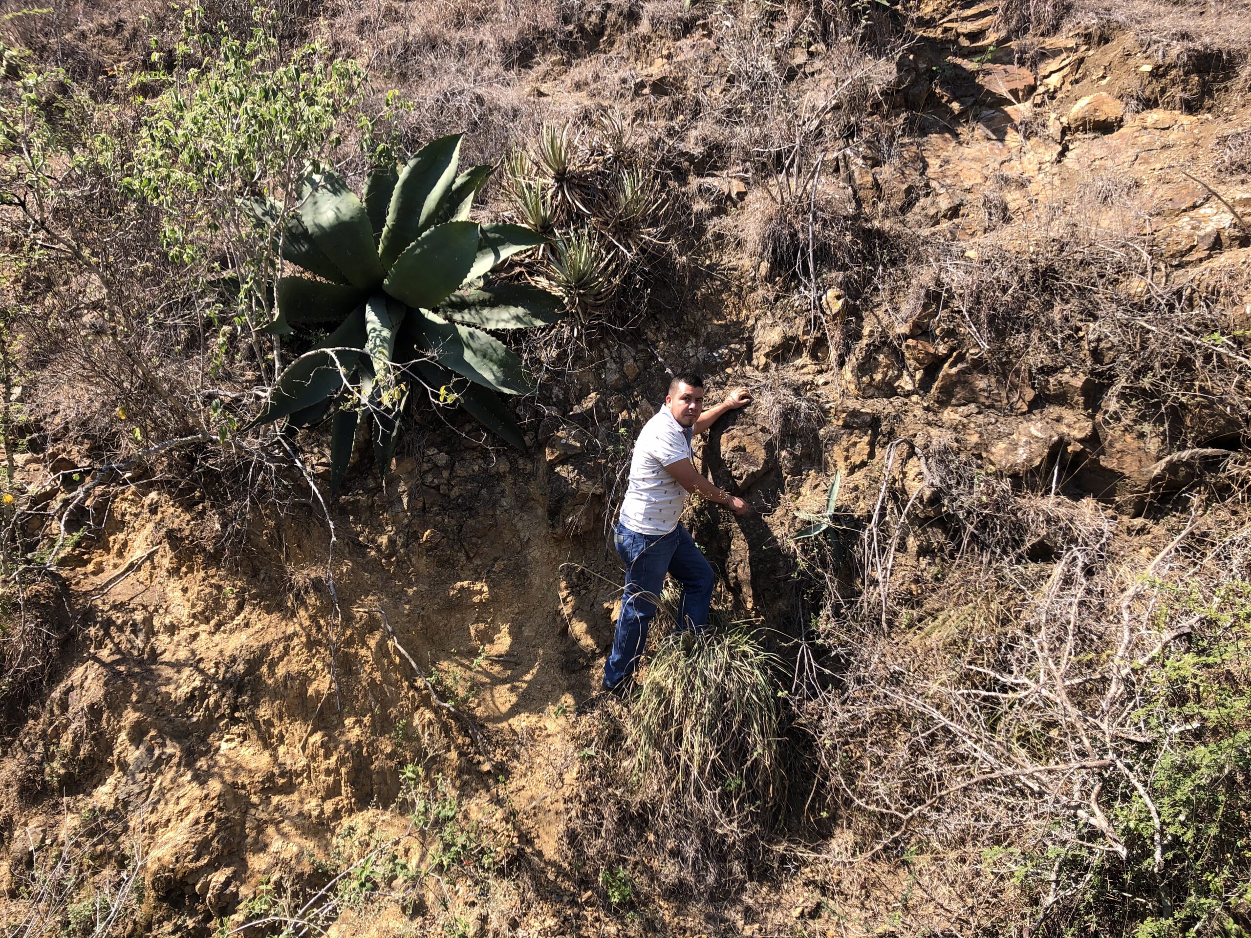 TEPEZTATE HUNTING