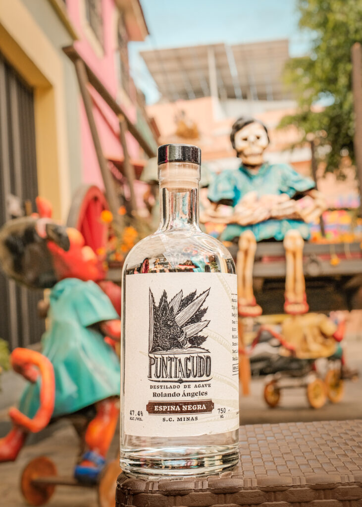 Day of the dead skeleton with a mezcal bottle in the foreground.