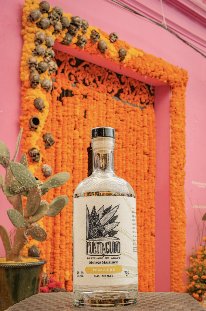 Day of the dead decorations include skulls (as seen in this background) and mezcal.
